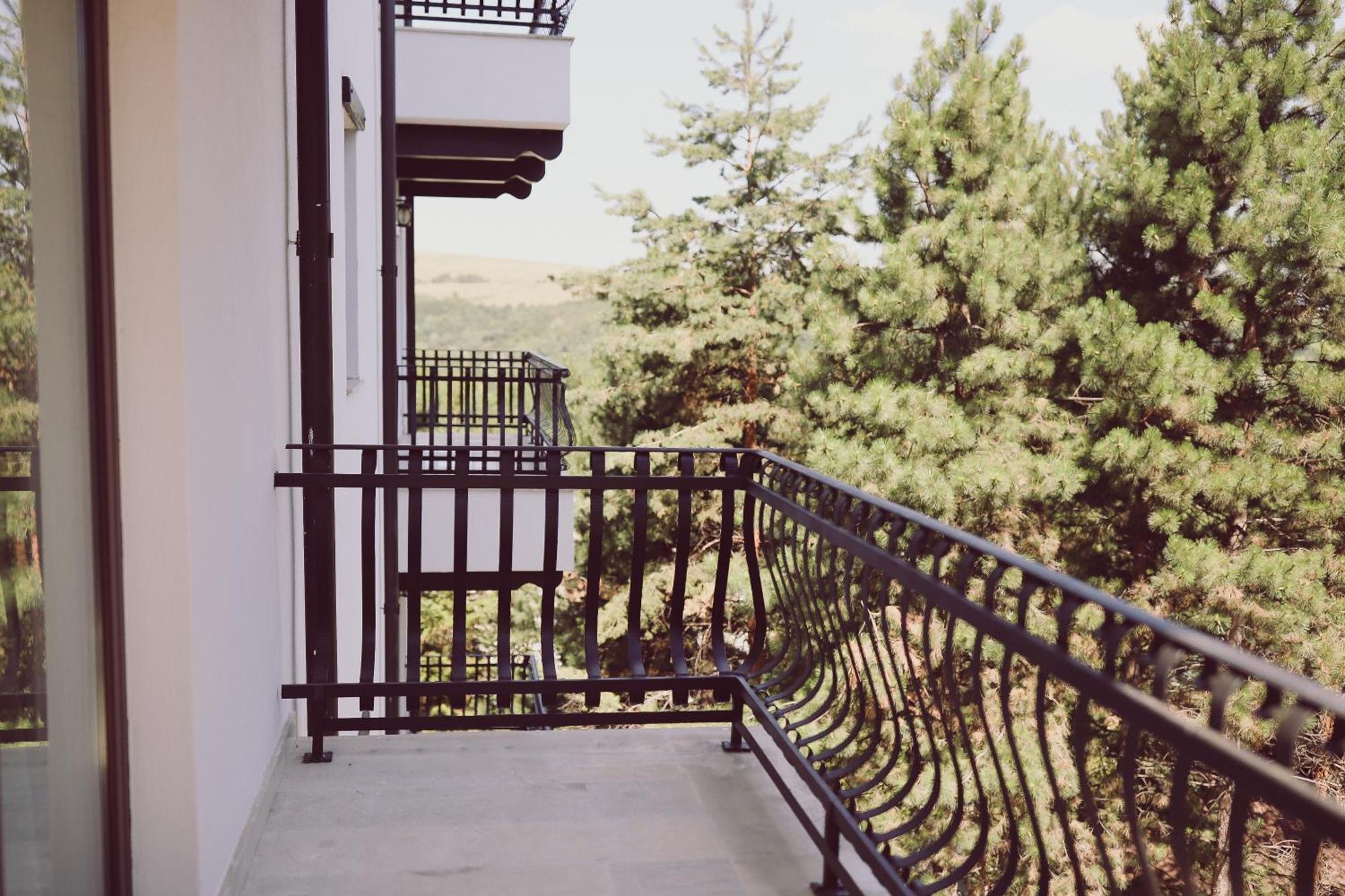 Helen Hotel Bacau