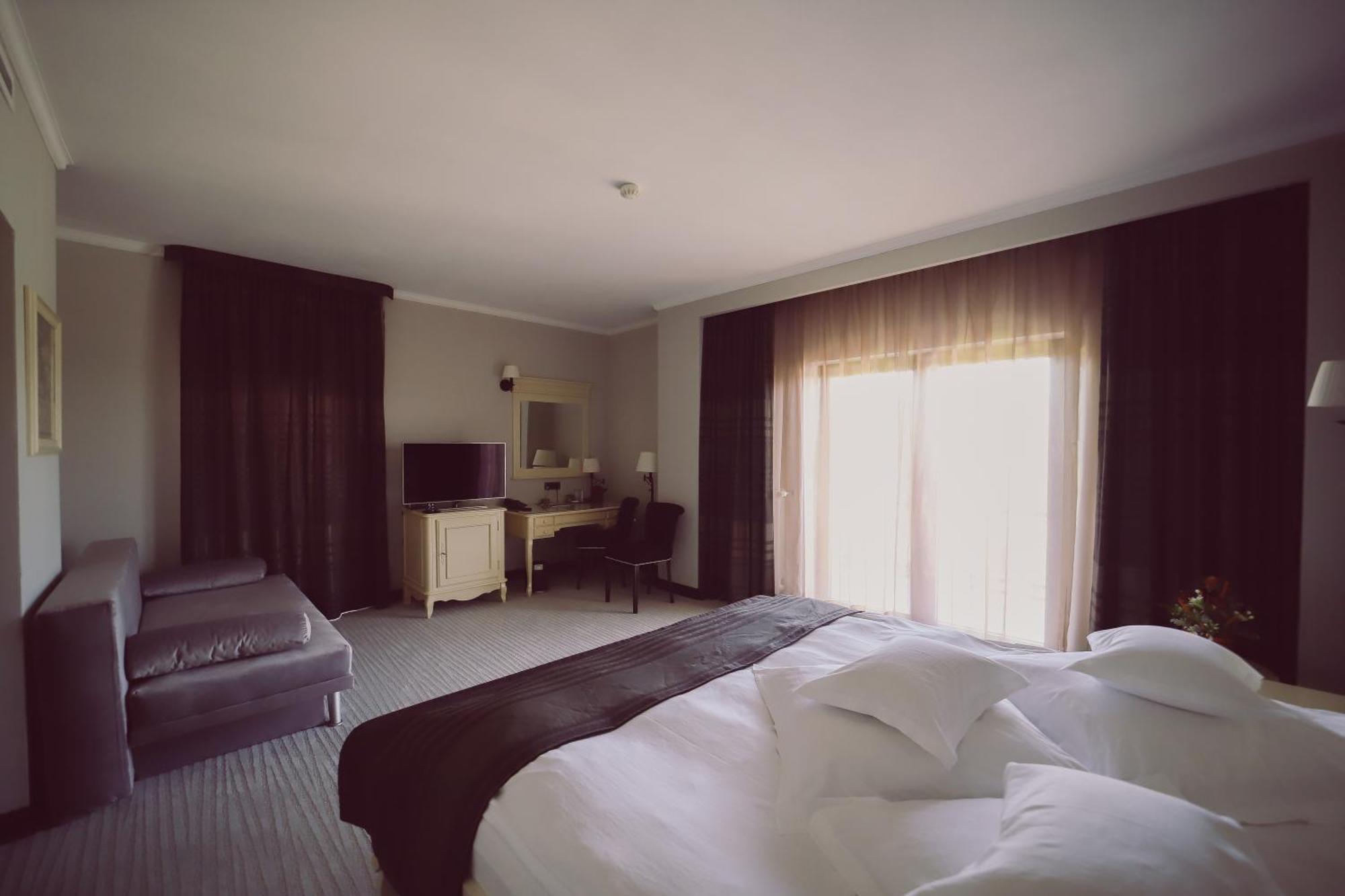 Hotel Helen Bacau