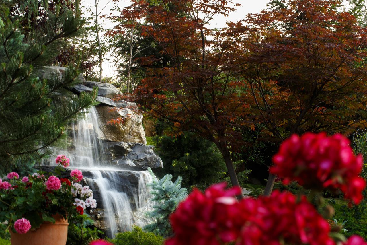 Hotel Helen Bacau
