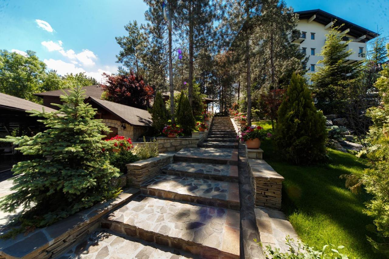 Helen 4* Bacau