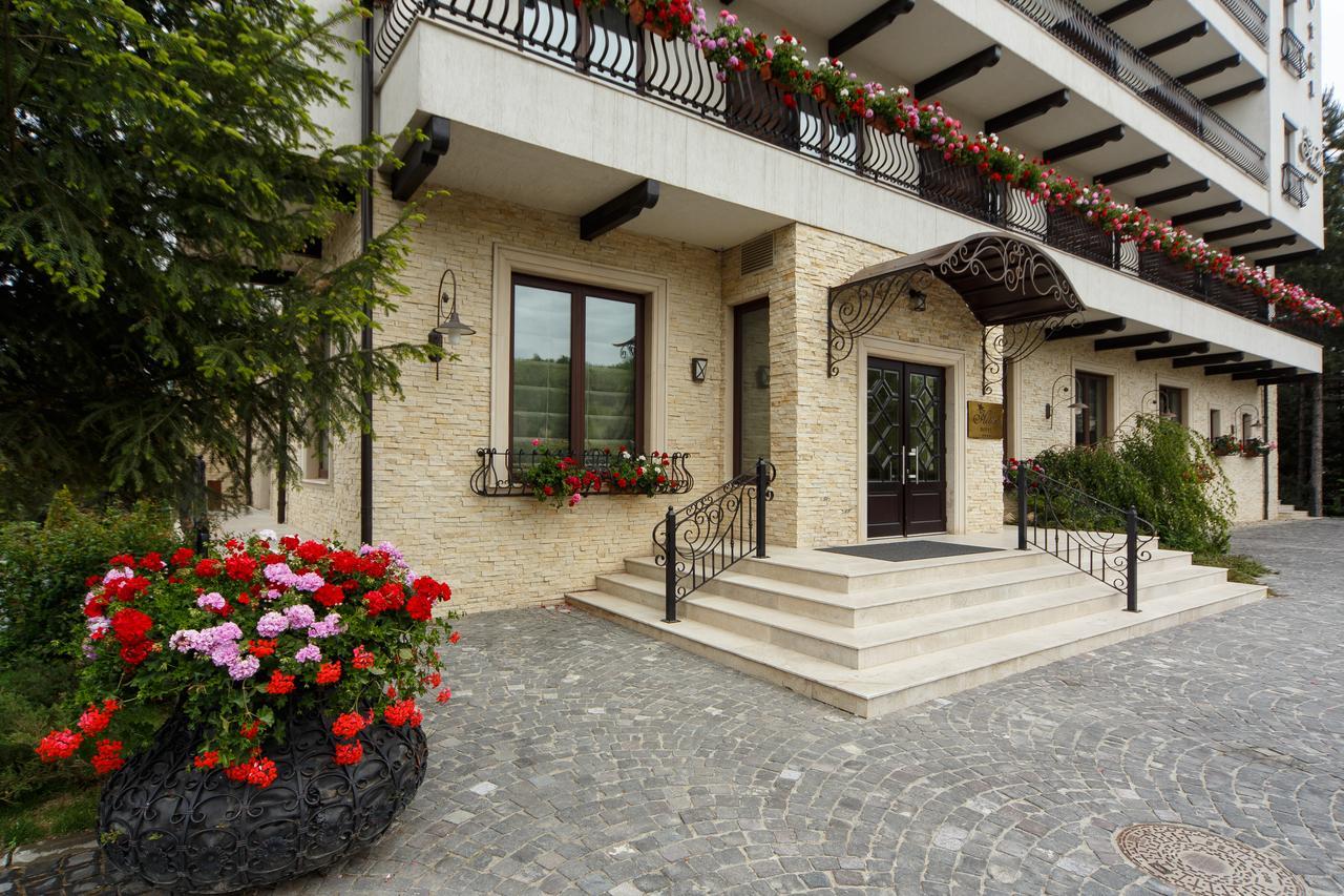 Helen 4* Bacau