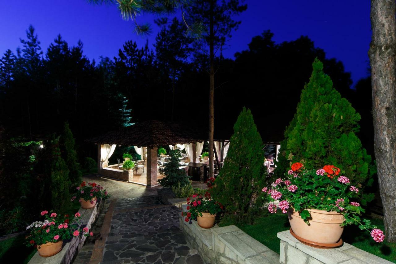 Hotel Helen Bacau